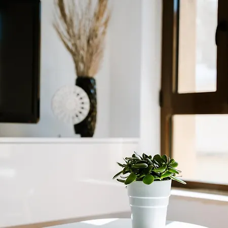 Apartment Palomahouse
